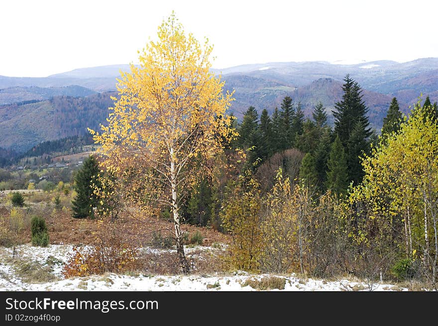 Beautiful autumnal view of Carpathian Mountains. Ukraine. Beautiful autumnal view of Carpathian Mountains. Ukraine