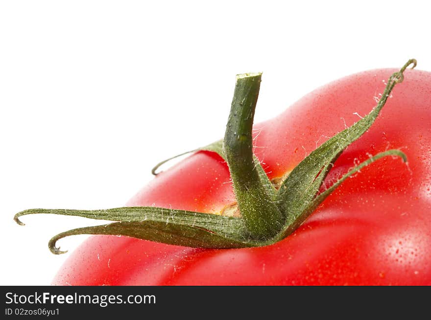 One tomato fragment macro shot isolated over white background