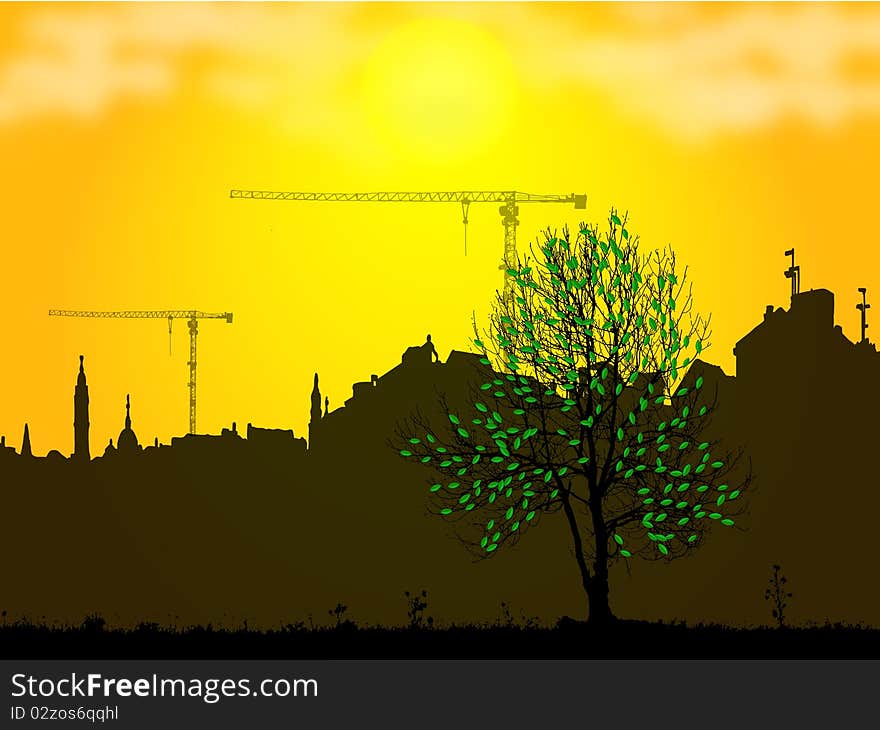 Urban tree,buildings and cranes