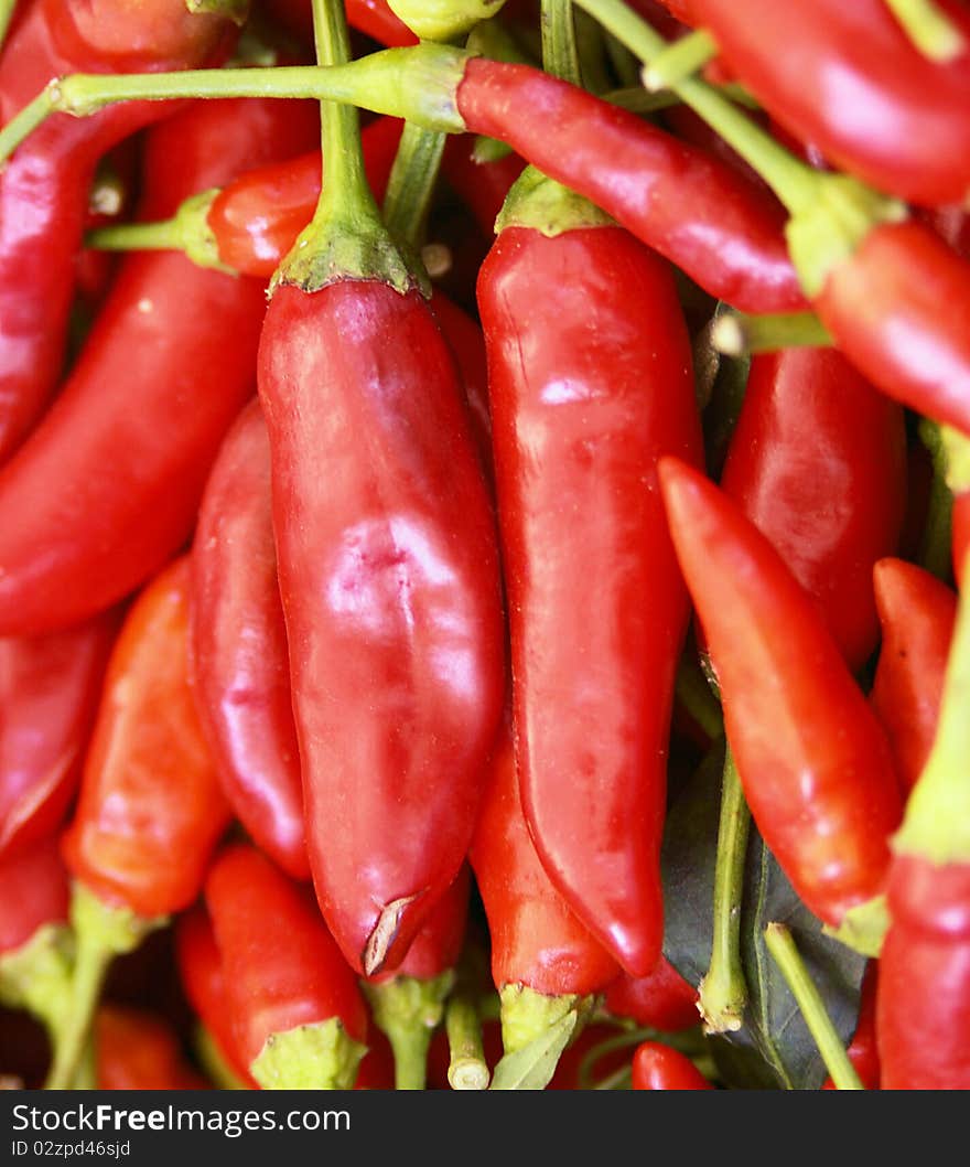 Cayenne