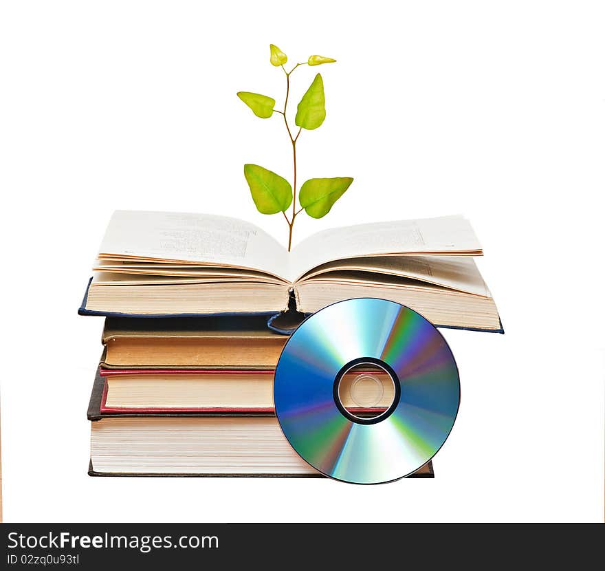 Tree seedling growing from open book. Tree seedling growing from open book