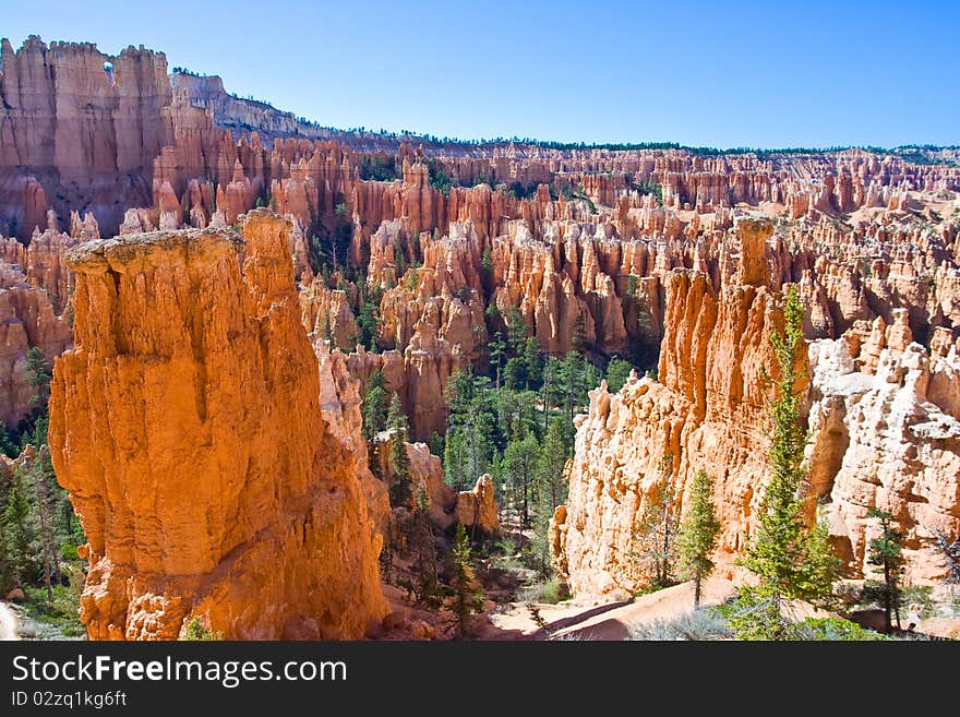 Scenic image of the Hoodoos of Bryce Canyon National park