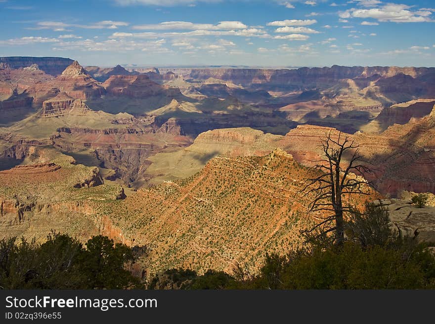 Landscape view of the Grand Canyon National park to explore. Landscape view of the Grand Canyon National park to explore