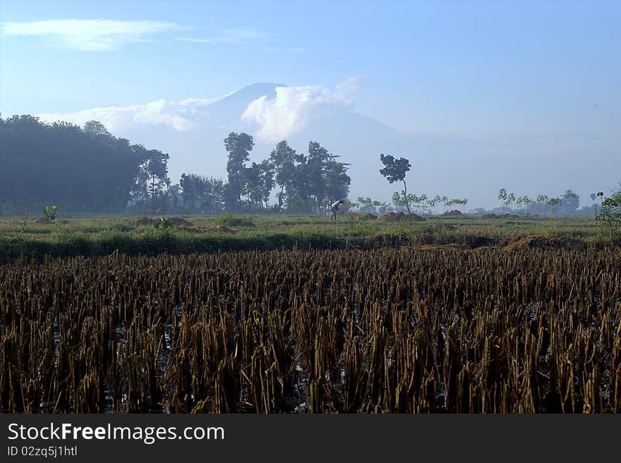 Beautiful mountain in West Java. Beautiful mountain in West Java