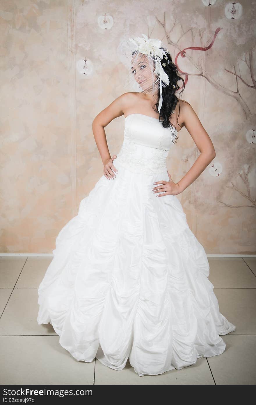 Beautiful shapely bride in an elegant wedding dress on a colored background. Wedding photography. Beautiful shapely bride in an elegant wedding dress on a colored background. Wedding photography.