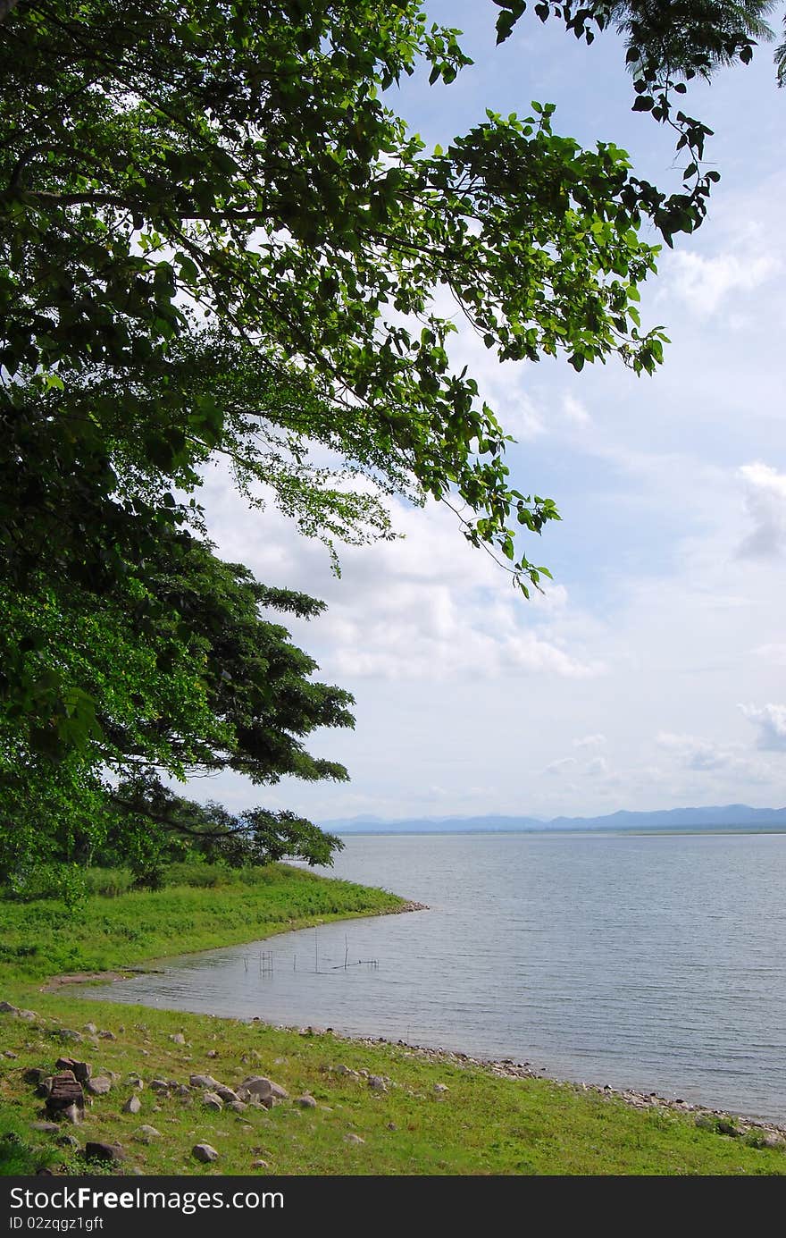 Big Lake Tree Day Thailand