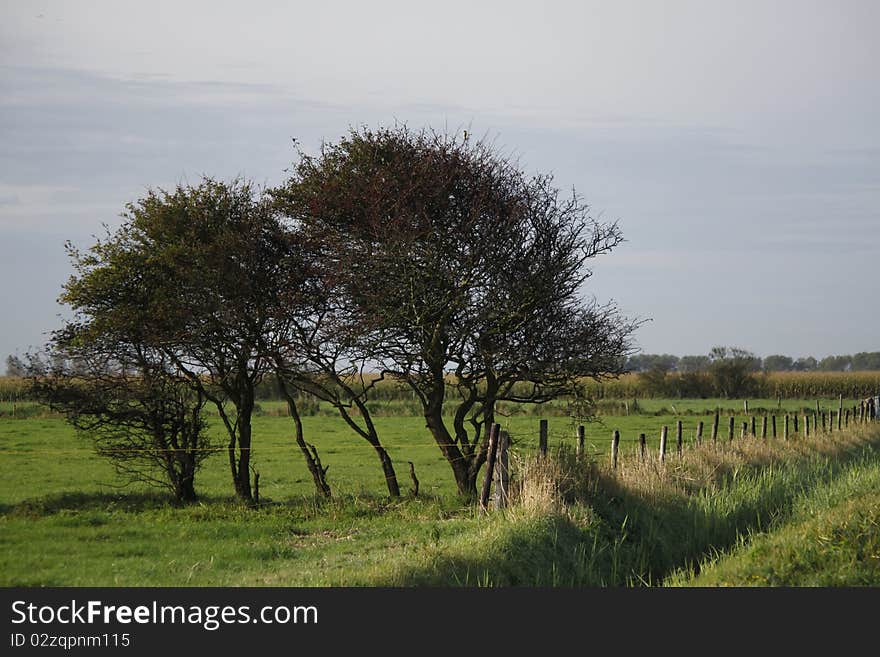 Bending trees