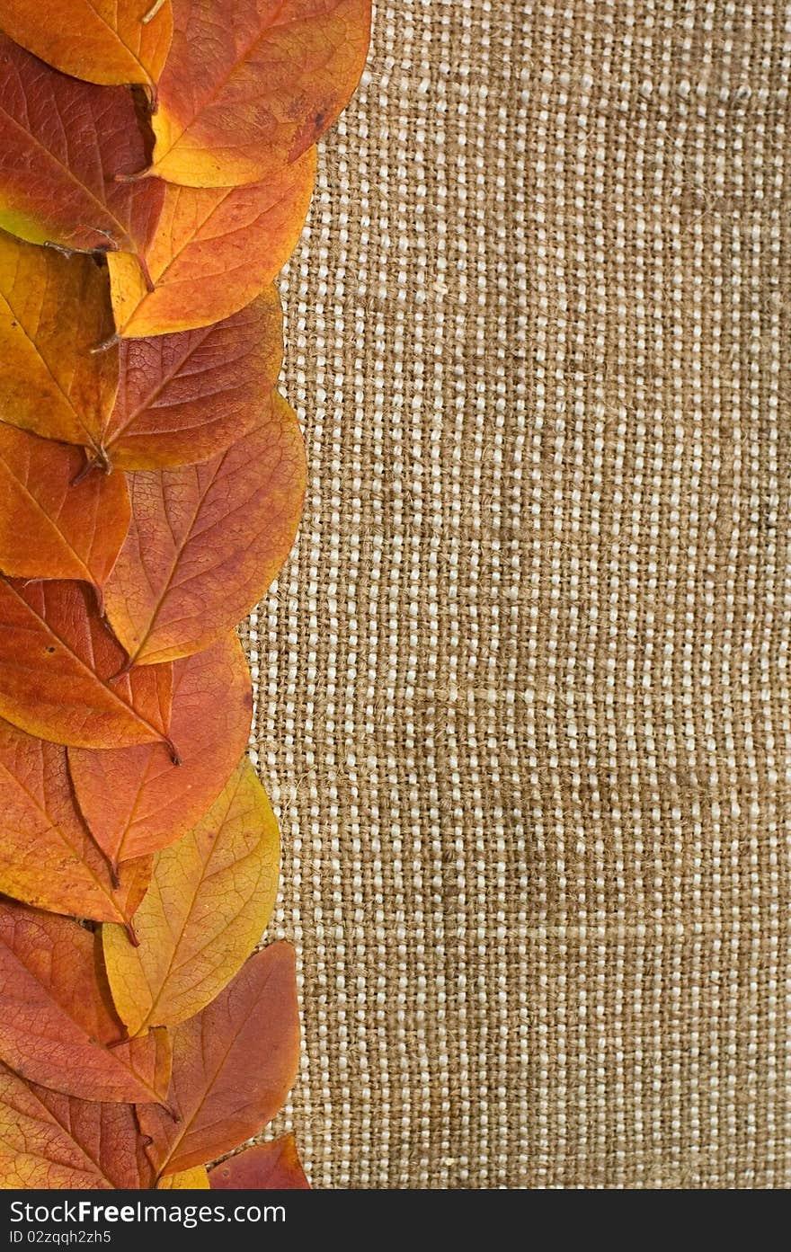 Autumn Leaves over Burlap background close up