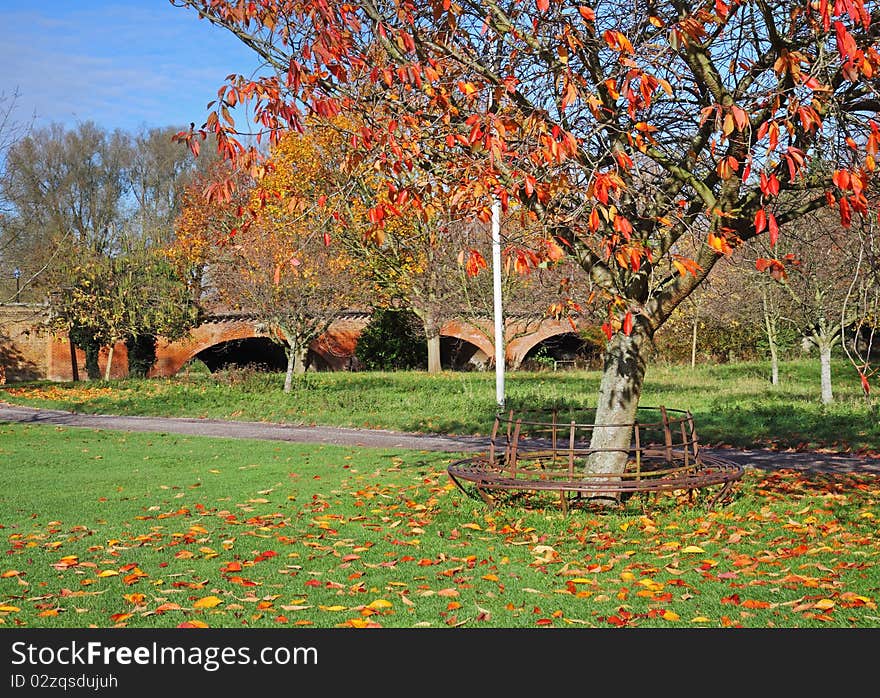 Autumn colors in an English Park with circular seat around a tree and bridge in the background