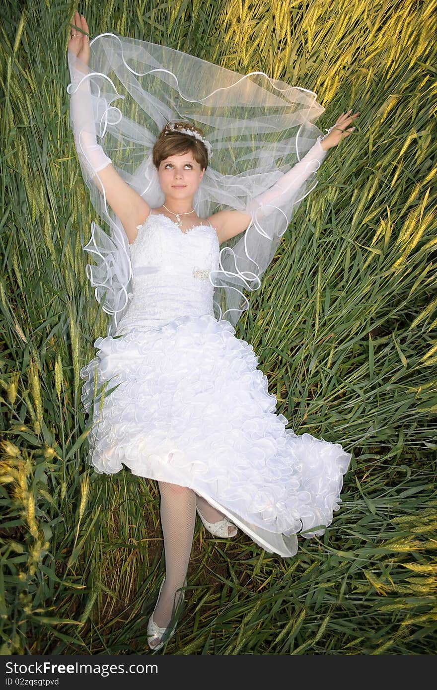 Young bride in a field of green wheat. Young bride in a field of green wheat