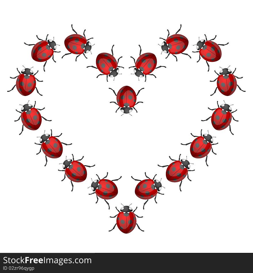 Red Ladybird bug at heart cartoon illustration. Red Ladybird bug at heart cartoon illustration