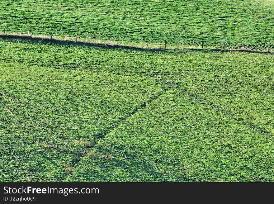 Country Fields