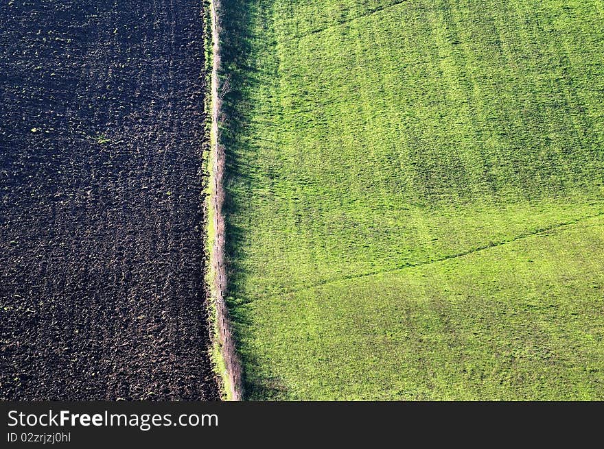 Country Fields