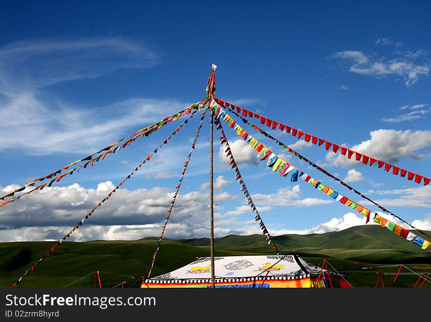 The this picture photography in the Chinese Sichuan Ganzizhou Luhuo county ancestor tower prairie, this prairie scenery is beautiful, from the spring to the autumn, seven kind of main flowered seven transformation prairie's color, thus is called “the ancestor tower seven colors of the spectrum prairie” successively. We go time happen to was on the prairie opens has filled the innumerable white fragrant clean flower, chaste incomparable. Under the sunlight the white flower under green leaf's complementing, has formed a tall and pleasing to the eye rug, has extended from the under foot the horizon. The this picture photography in the Chinese Sichuan Ganzizhou Luhuo county ancestor tower prairie, this prairie scenery is beautiful, from the spring to the autumn, seven kind of main flowered seven transformation prairie's color, thus is called “the ancestor tower seven colors of the spectrum prairie” successively. We go time happen to was on the prairie opens has filled the innumerable white fragrant clean flower, chaste incomparable. Under the sunlight the white flower under green leaf's complementing, has formed a tall and pleasing to the eye rug, has extended from the under foot the horizon.