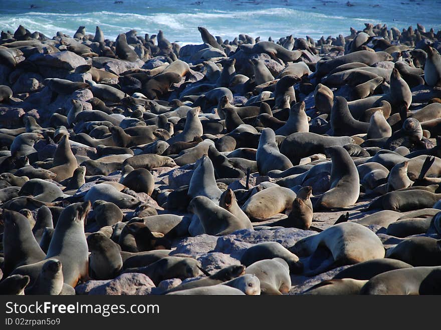 Seals