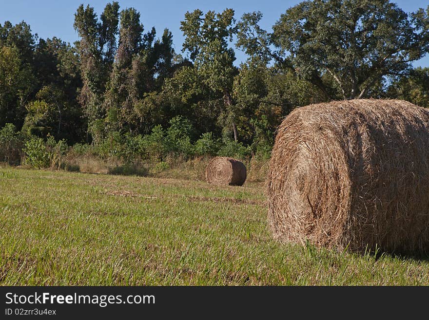 Bale of hay