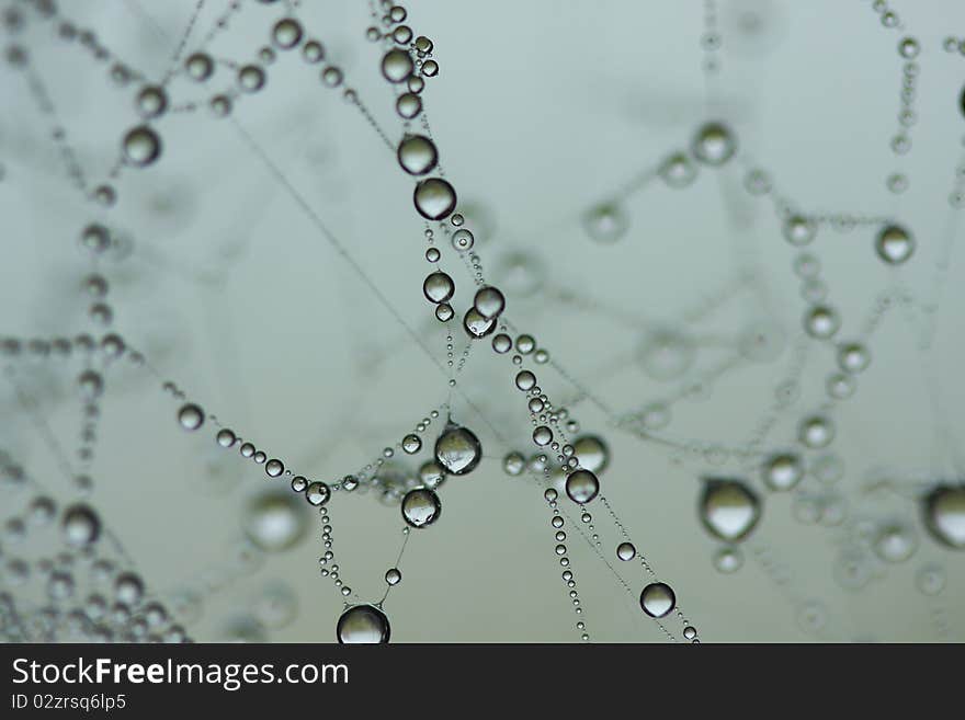 Necklace of a spider