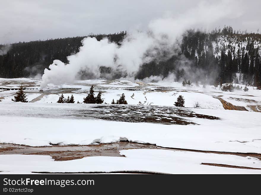 Hot geysers in Yellowstone NP, USA