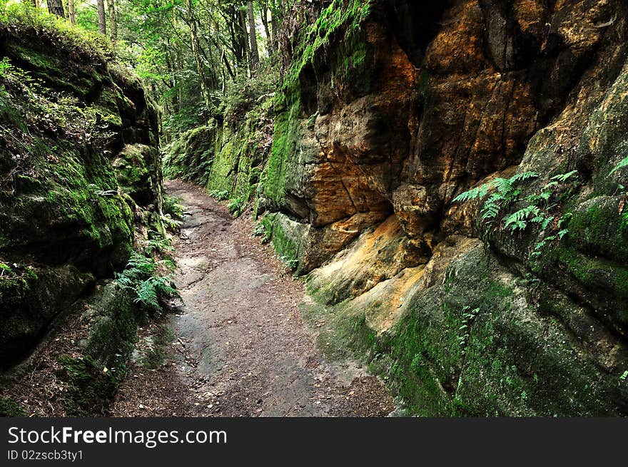 A rocky path, Kokorinsko, Czech Republic