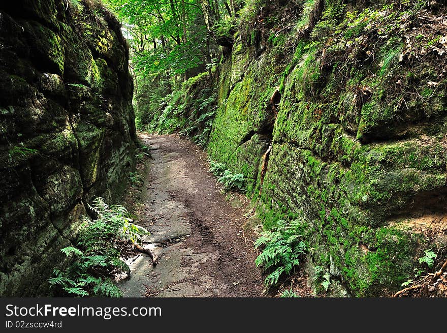 A rocky path, Kokorinsko, Czech Republic