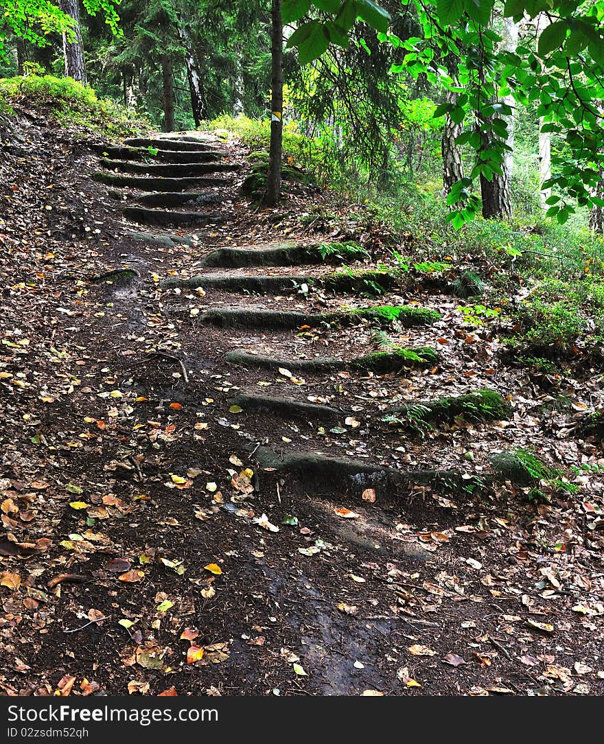 A rocky path, Kokorinsko, Czech Republic