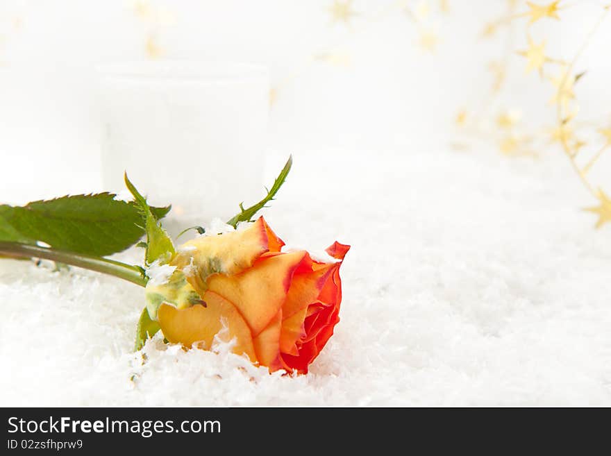 Beautiful rose and the burning candle on the snow. Beautiful rose and the burning candle on the snow