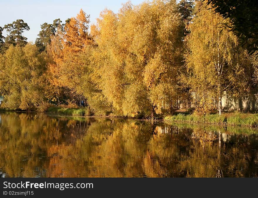 Autumn landscape in a sunny day