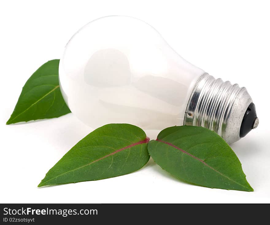 Studio shot of light bulb next to the green leafs on white background. Studio shot of light bulb next to the green leafs on white background.