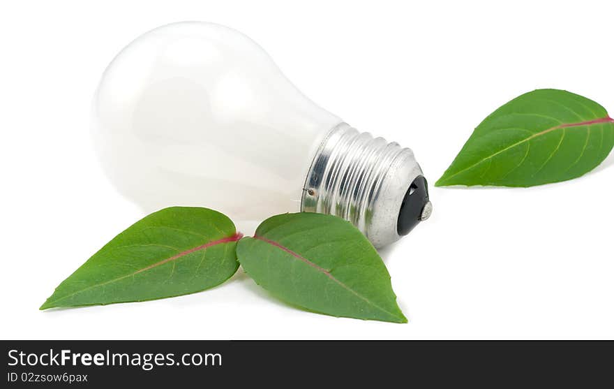 Studio shot of light bulb next to the green leafs on white background. Studio shot of light bulb next to the green leafs on white background.