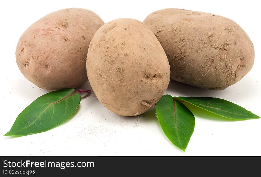 Studio shot of eco potatoes on white background , with extra leaf decor