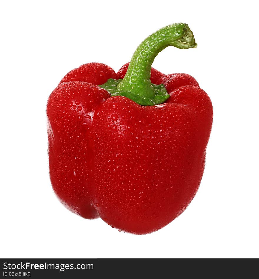 Red wet pepper isolated on white background. Red wet pepper isolated on white background