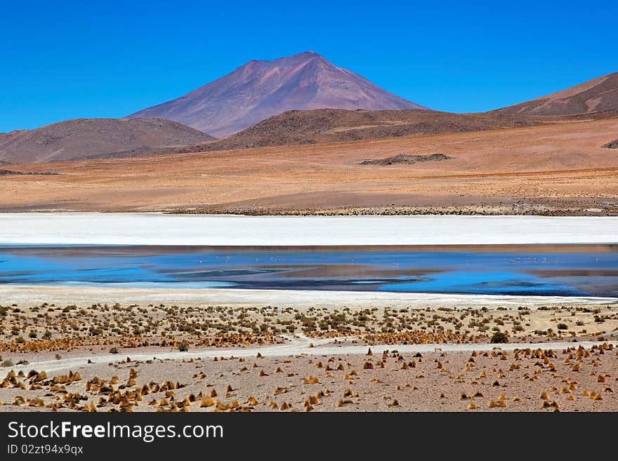 Laguna Desert, Altiplano, Bolivia, South America. Laguna Desert, Altiplano, Bolivia, South America