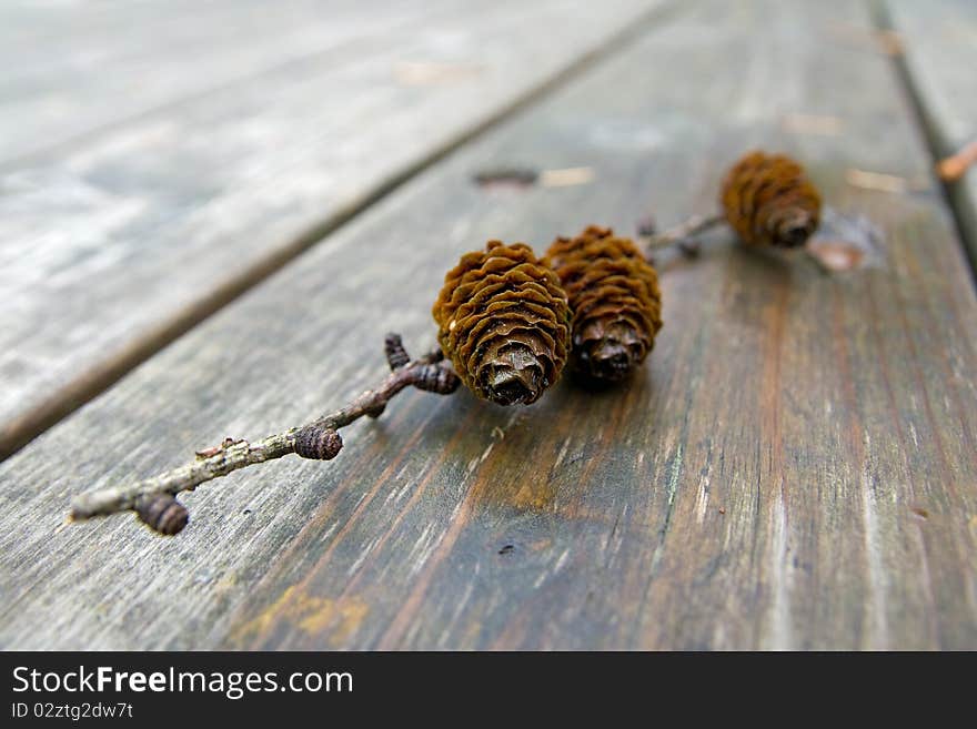 Pine Cones On A Table