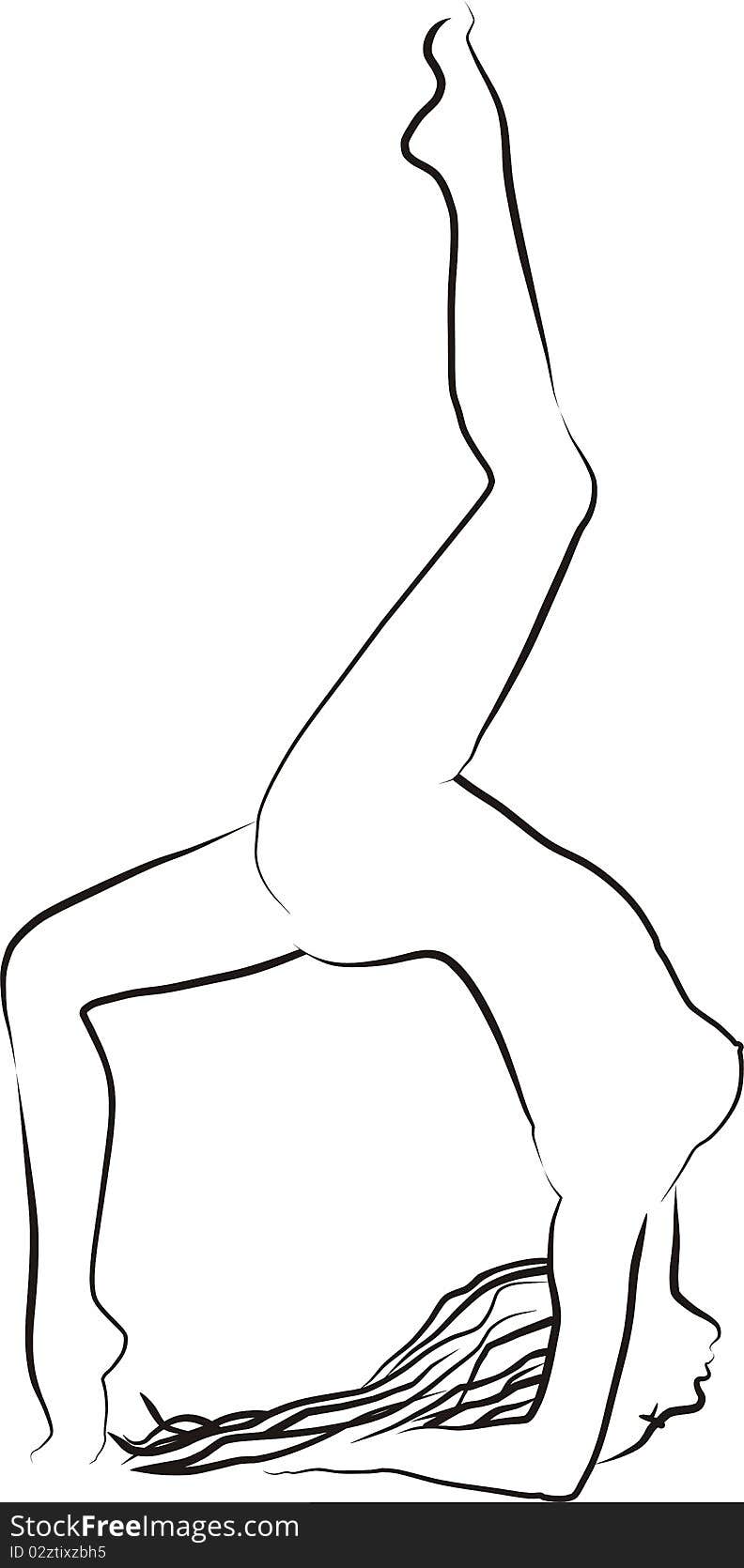 Drawing young women gymnasts, illustration. Drawing young women gymnasts, illustration