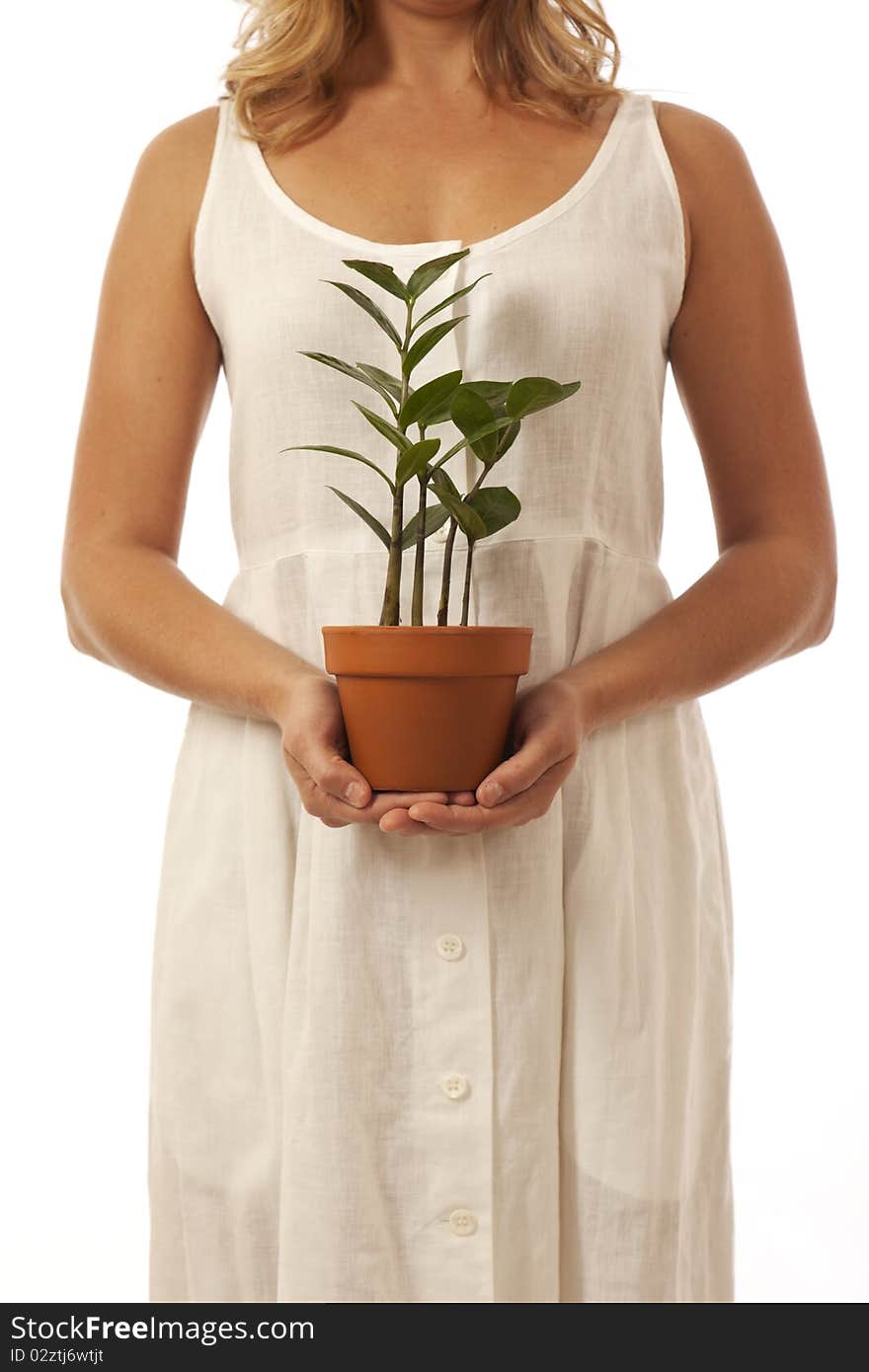 Woman's hands holding potted plant