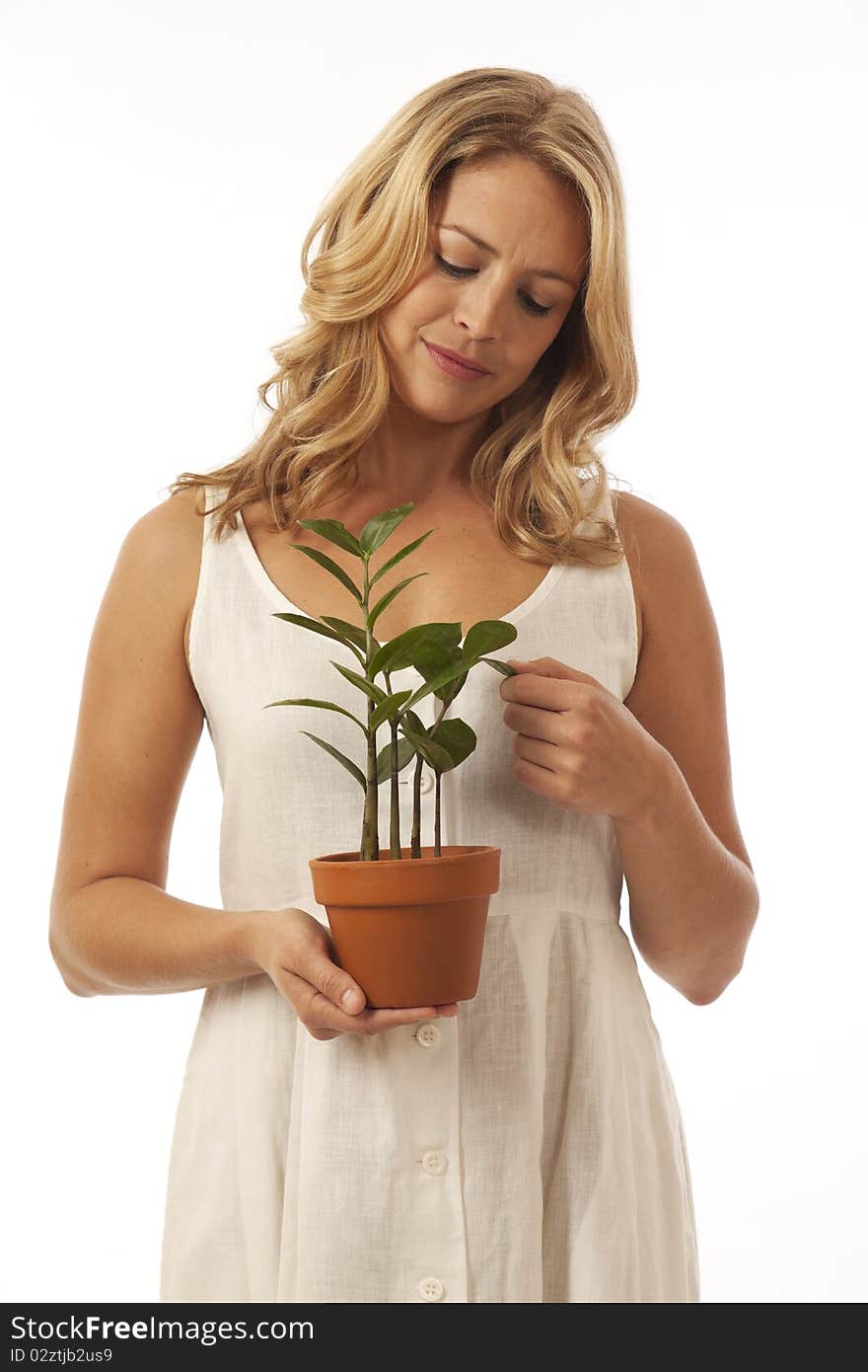 Woman standing holding potted plant. Woman standing holding potted plant