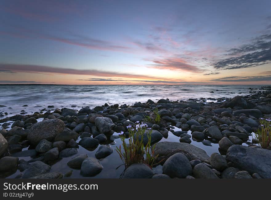 Beautiful ocean view with windblown flowers in the foreground.