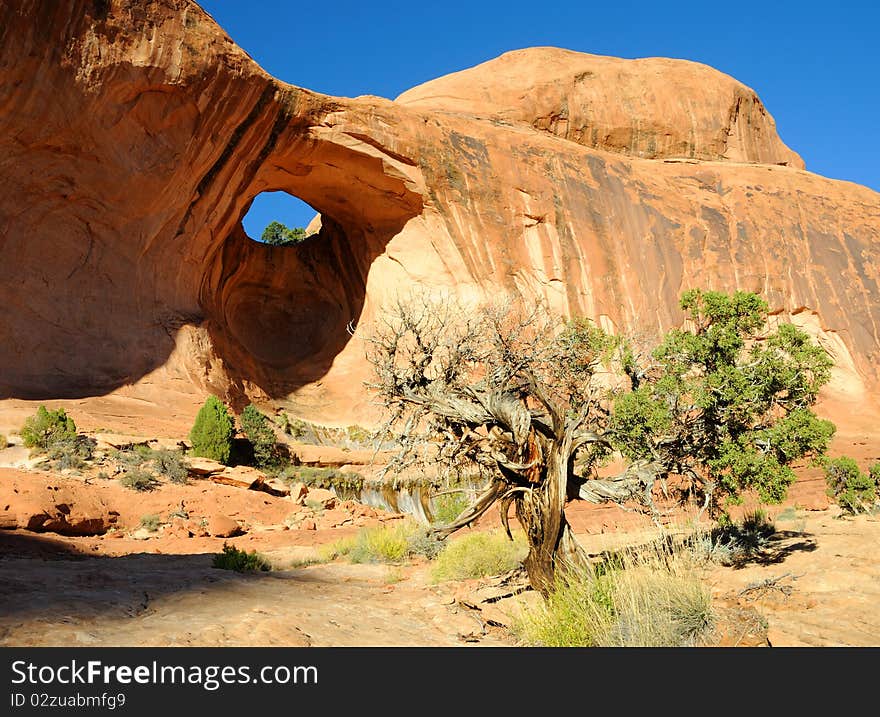 Bowtie Sandstone Arch near Moab. Bowtie Sandstone Arch near Moab