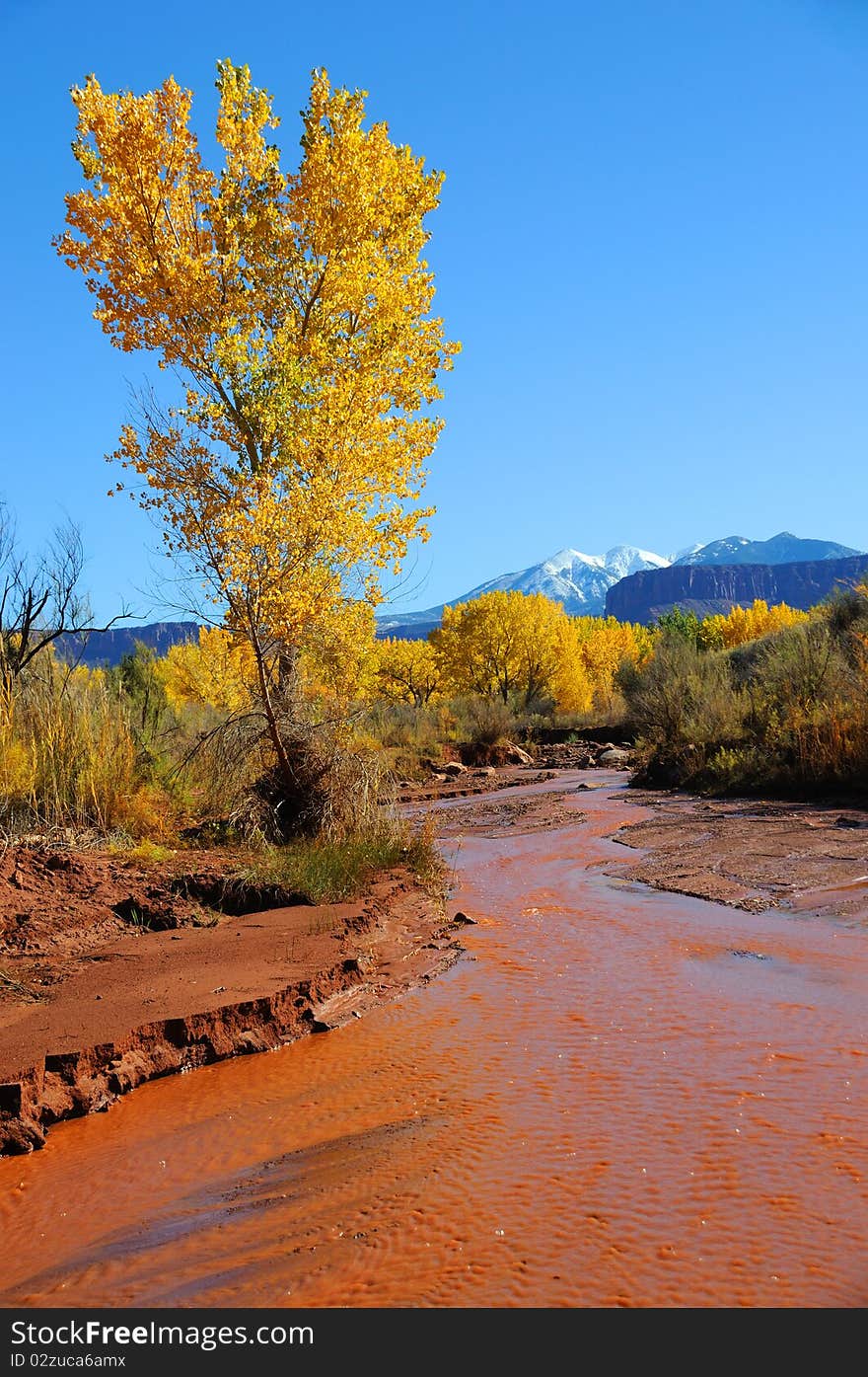 Desert Stream in Fall with Snowy Mountains in the Distance