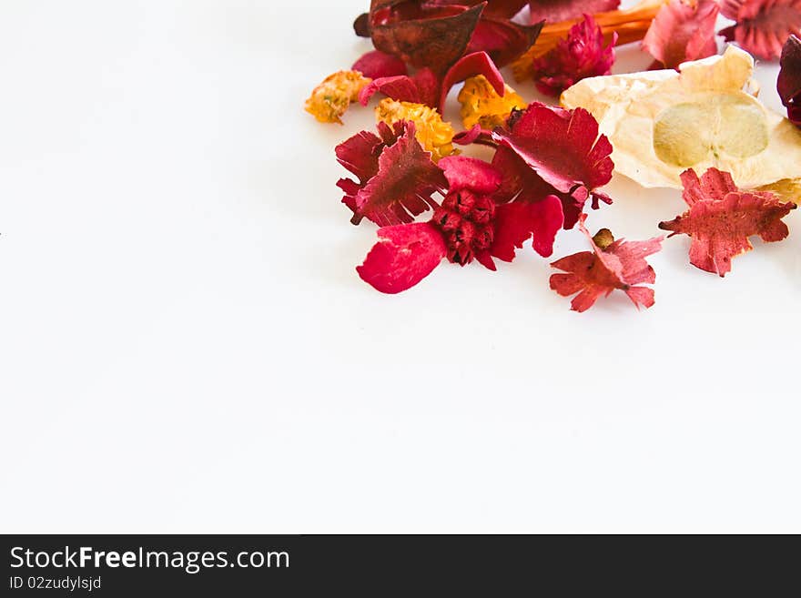 Mixture of dried floral (potpourri) with blank white space. Mixture of dried floral (potpourri) with blank white space