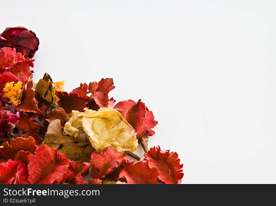 Mixture of dried floral (potpourri) with blank white space. Mixture of dried floral (potpourri) with blank white space