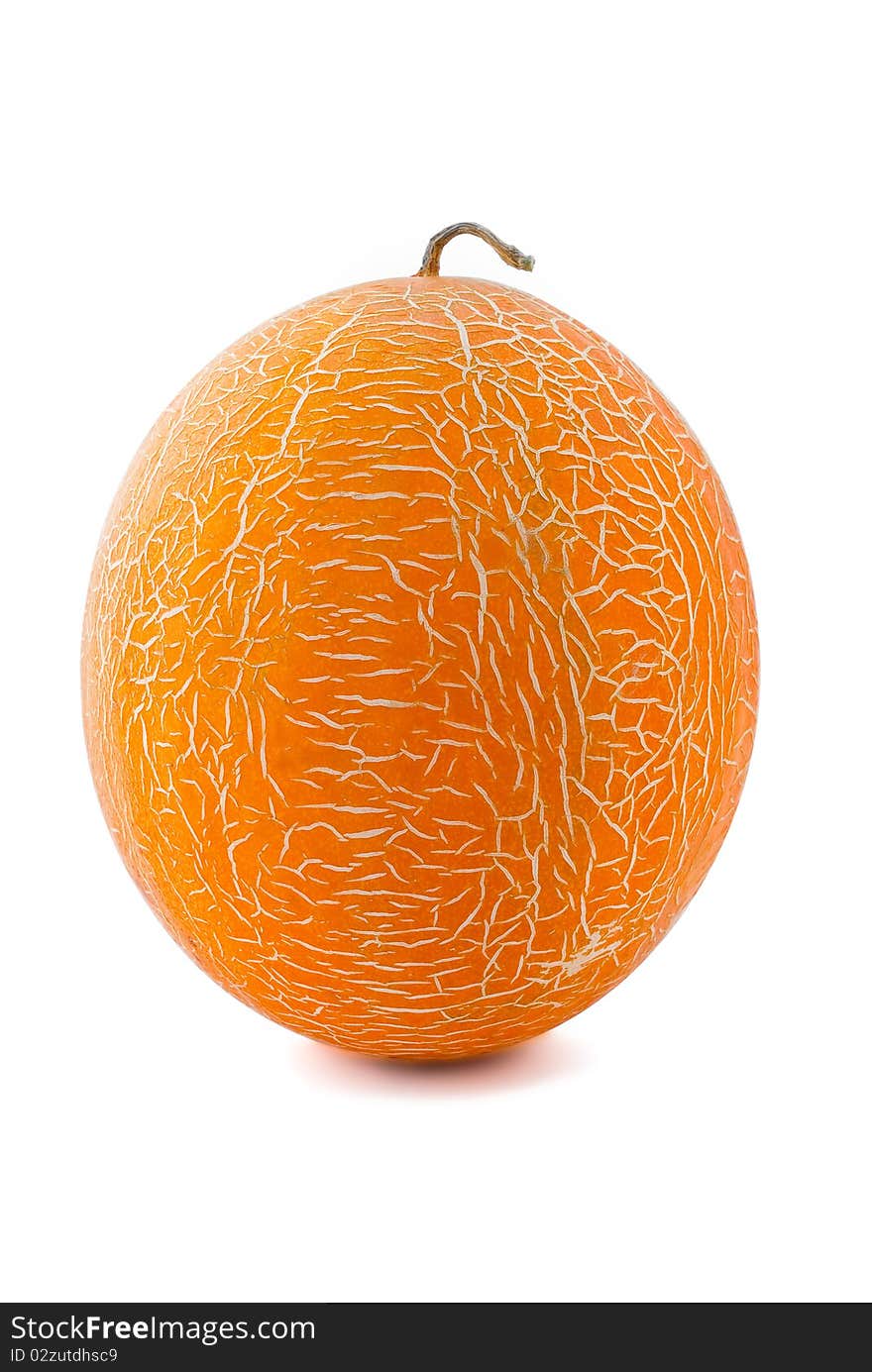 Ripe, large melon orange on the isolated background. Ripe, large melon orange on the isolated background