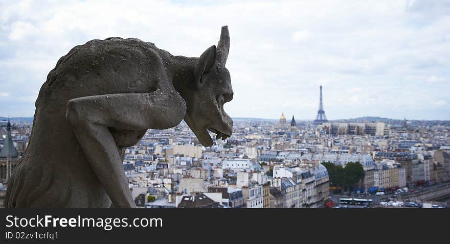 Paris, view from Notre Dame