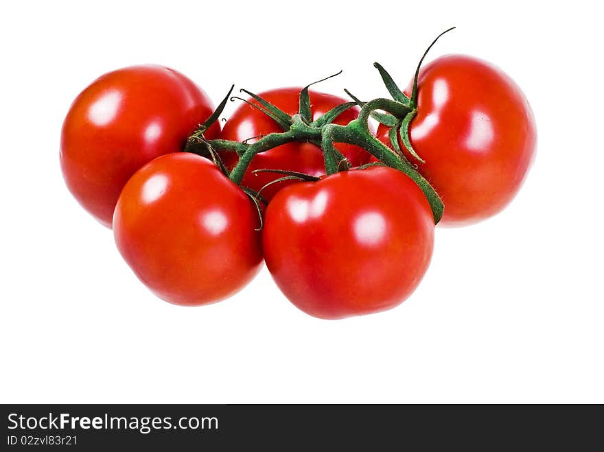 Bunch Of Tomatoes