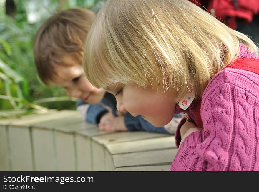 Two children looking down