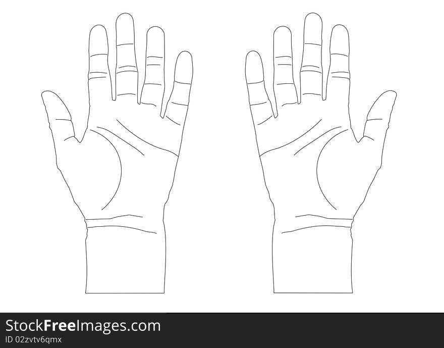 Two open hands showing palms black outline on white background. Two open hands showing palms black outline on white background