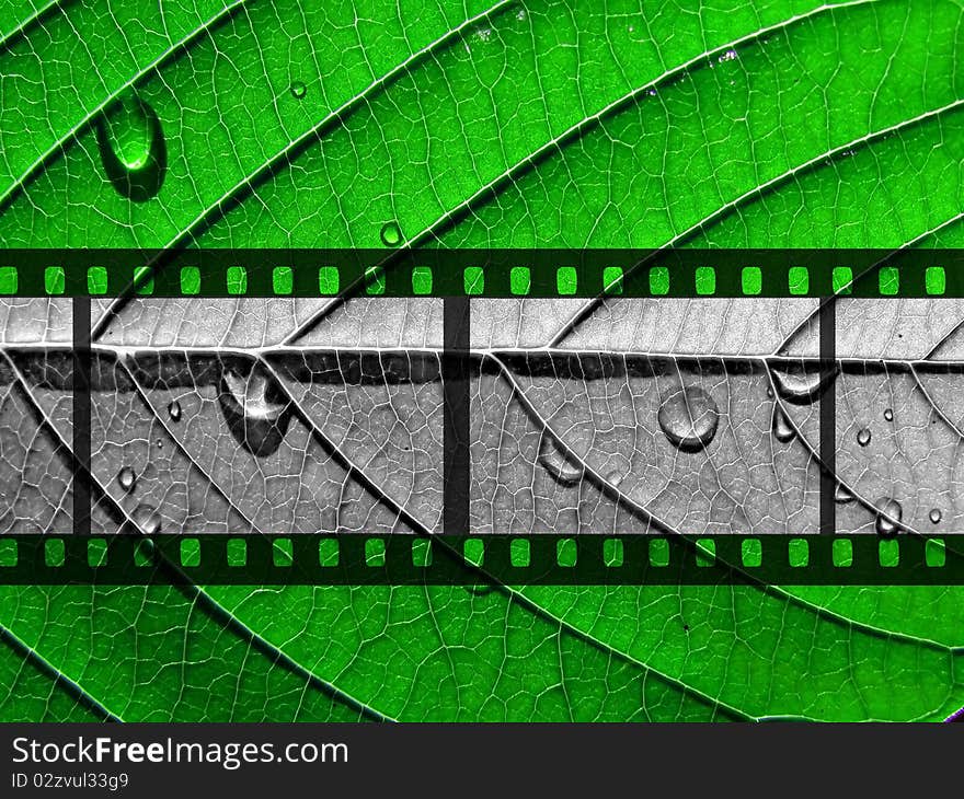 Monochrome camera film on wood background