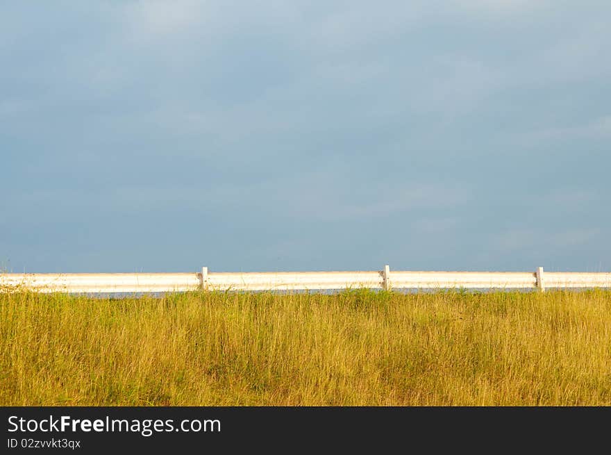 White fence 1