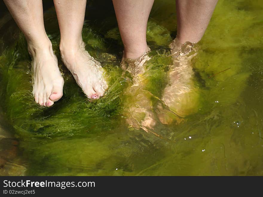 Human foot in the seaweed