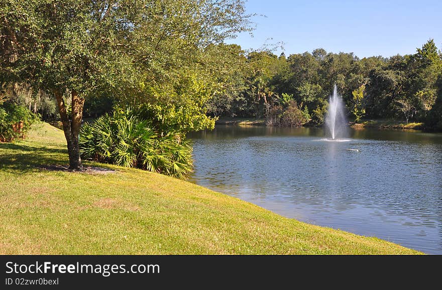 Lake, Fountain And A Forest